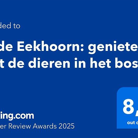 Rode Eekhoorn: Genieten Met De Dieren In Het Bos! Otterlo Exterior foto