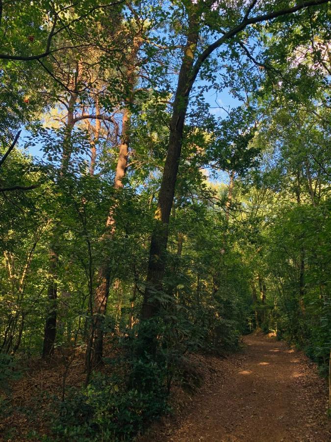 Rode Eekhoorn: Genieten Met De Dieren In Het Bos! Otterlo Exterior foto