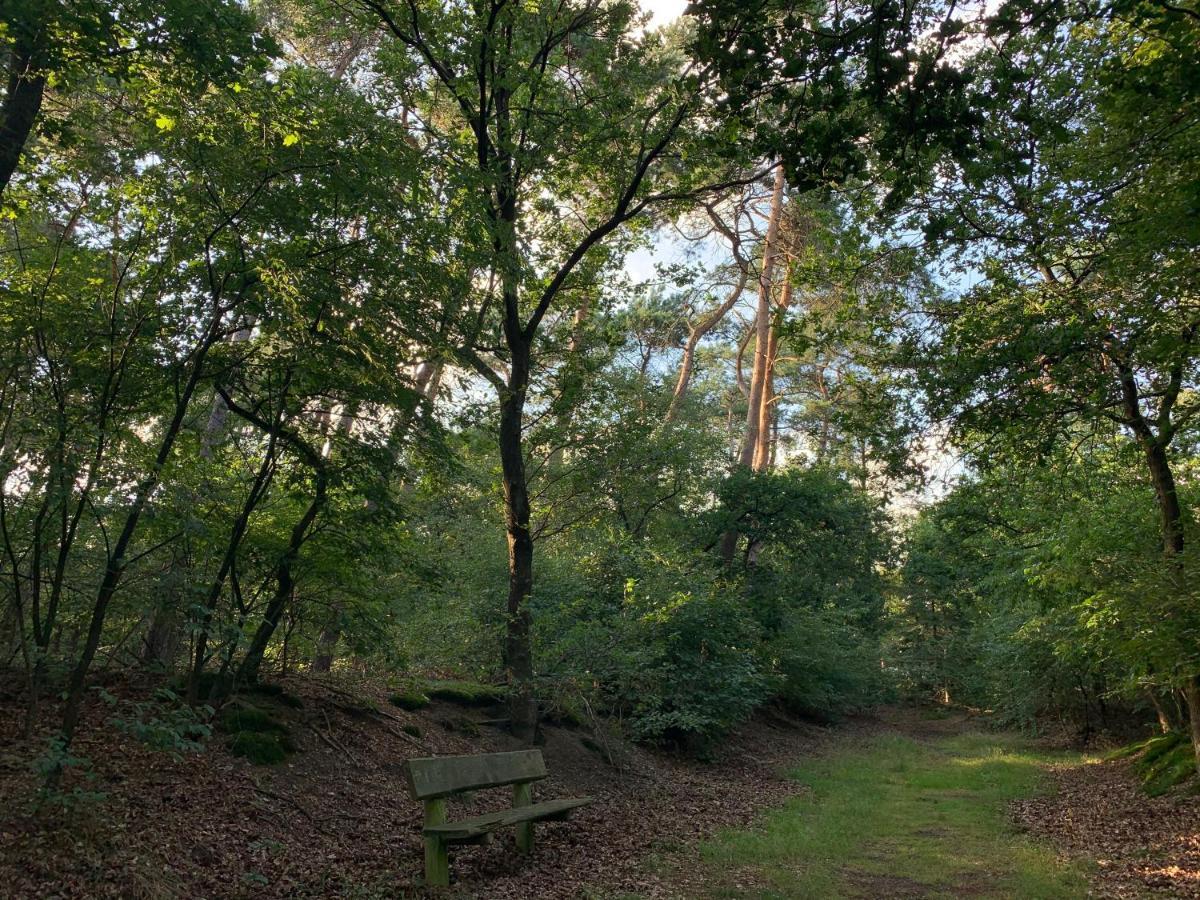 Rode Eekhoorn: Genieten Met De Dieren In Het Bos! Otterlo Exterior foto