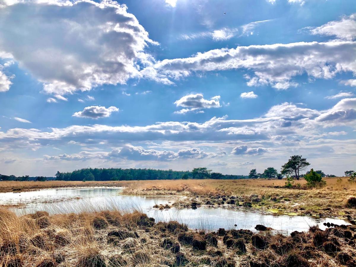Rode Eekhoorn: Genieten Met De Dieren In Het Bos! Otterlo Exterior foto