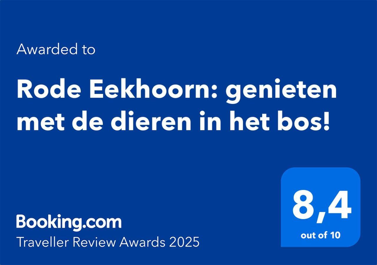 Rode Eekhoorn: Genieten Met De Dieren In Het Bos! Otterlo Exterior foto